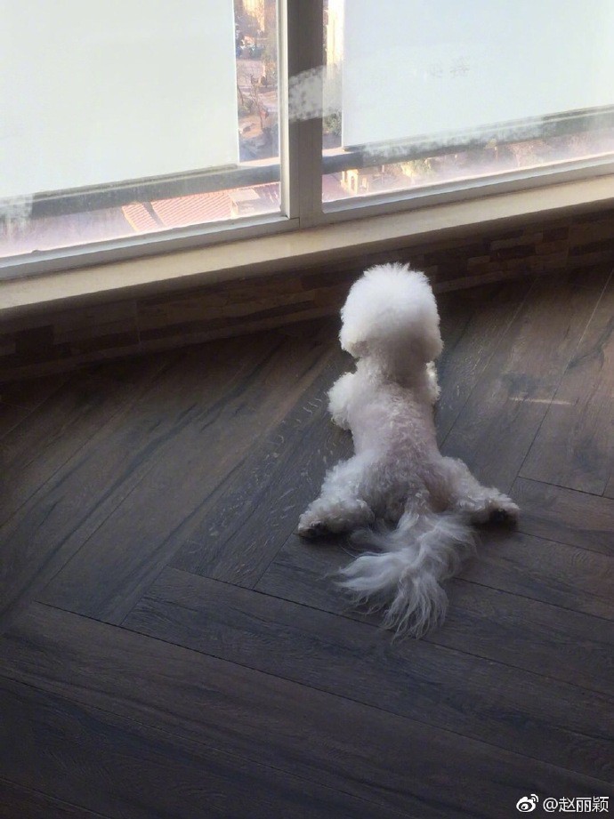 4b0c804aly1ftvg30fmzcj20px0yl439