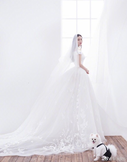 61e7f4aaly1ftypez3zvcj215o1h2kd0