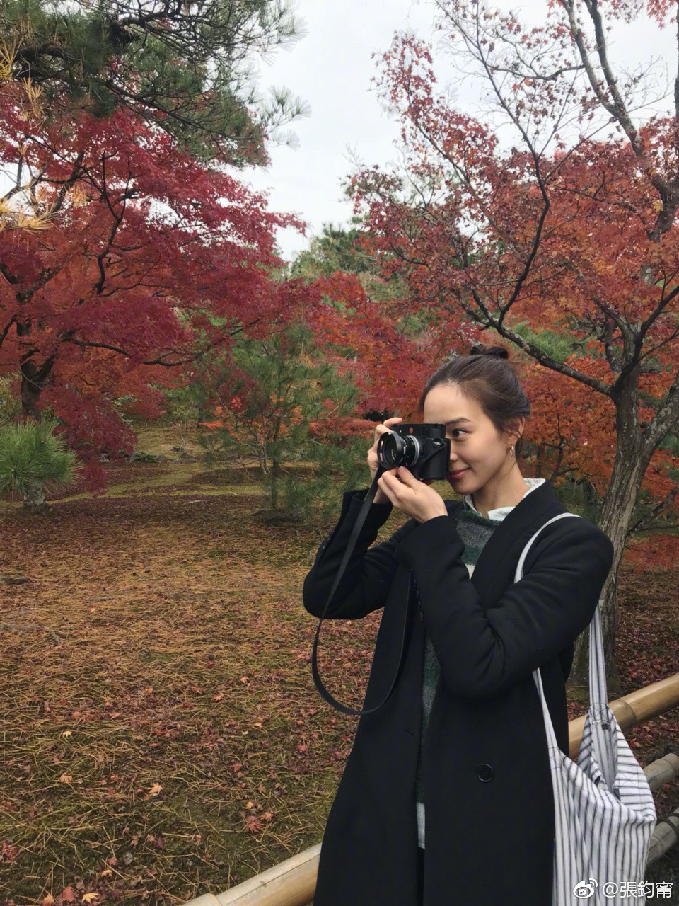 63b4ac8dgy1fly1yfh1t6j20qo0zkkjl