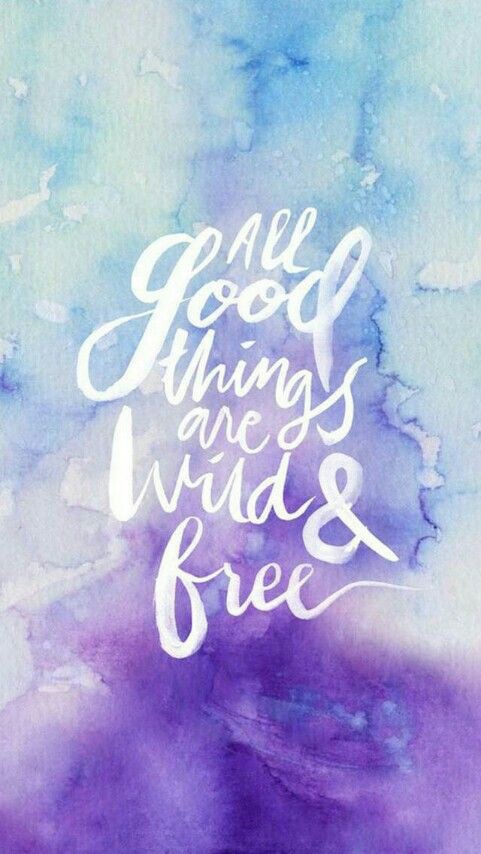 6987cbe1451878a865e04e362fdbc217