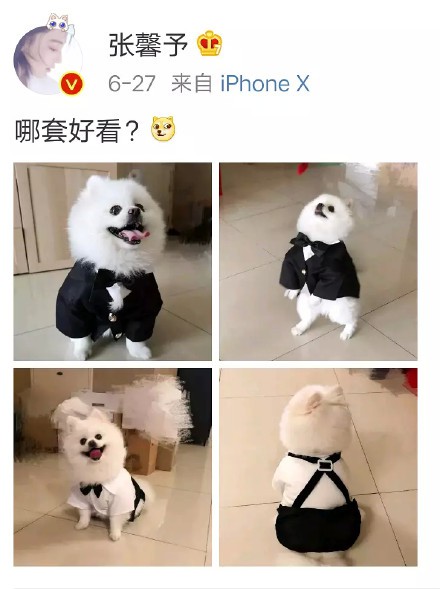 71232231gy1ftyrd7suyaj20k80r2q3k