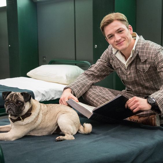 8293a1175ef3a1e494b5d3ffa797adfb