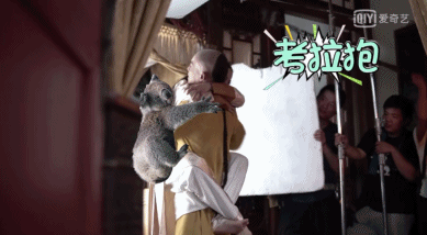 94898261ly1fuhcoi3jacg20at05y7wh