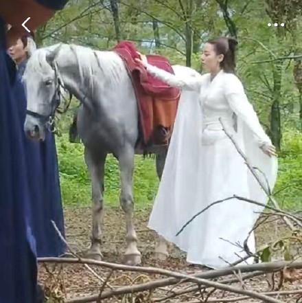 97191c8fgy1fu038bxdgaj20ty0u1dlt