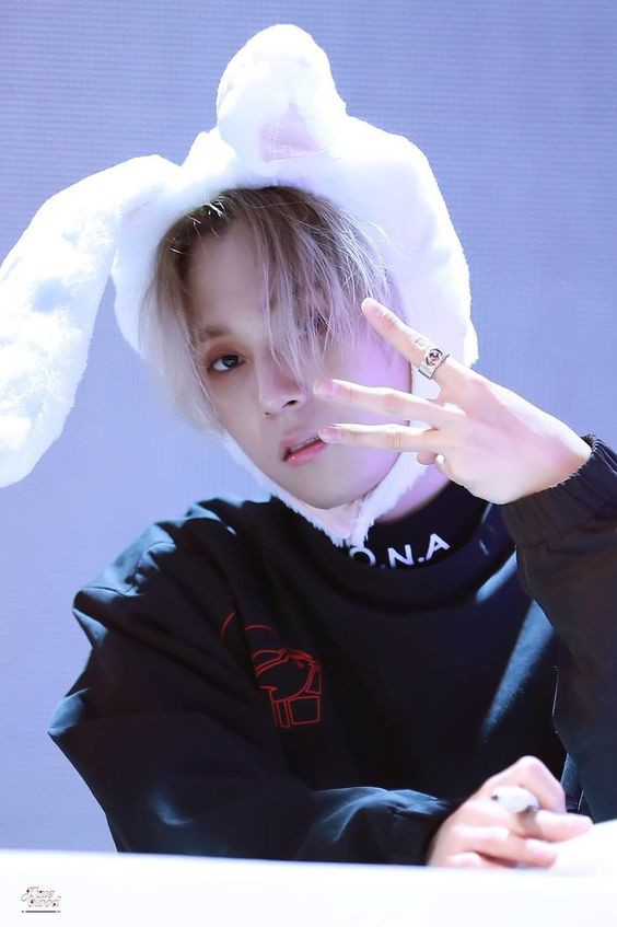 a2d73b3d16f4855ddb704b3a882d170d