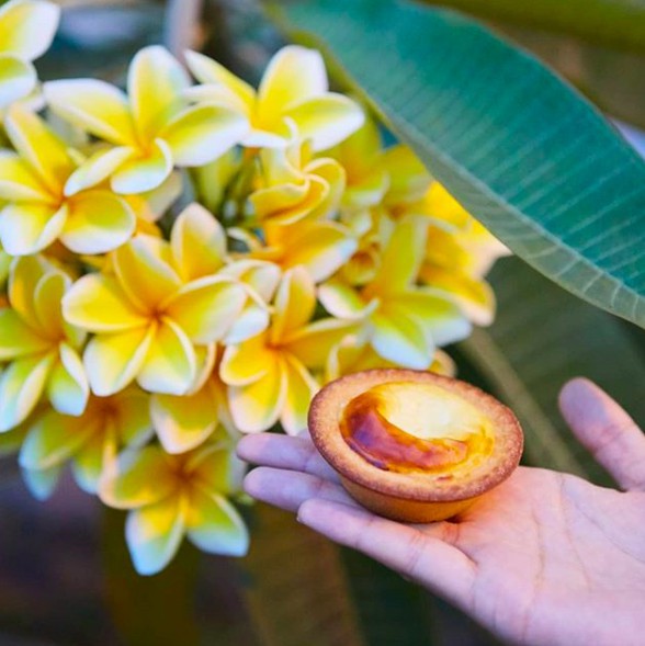 螢幕快照 2018-09-04 下午6.45.24