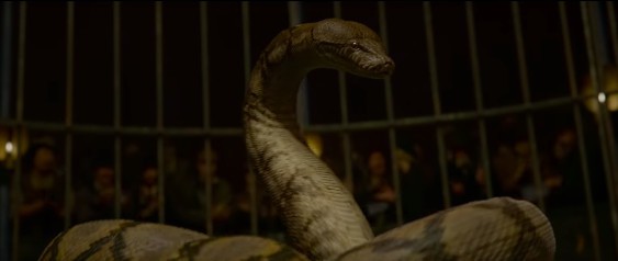 螢幕快照 2018-09-26 下午12.24.56