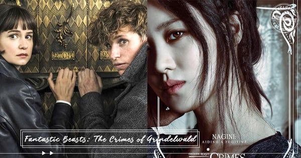 《怪獸與葛林戴華德的罪行》釋出終極預告！佛地魔巨蛇「娜吉妮」竟是韓國人～角色彩蛋影迷大驚！