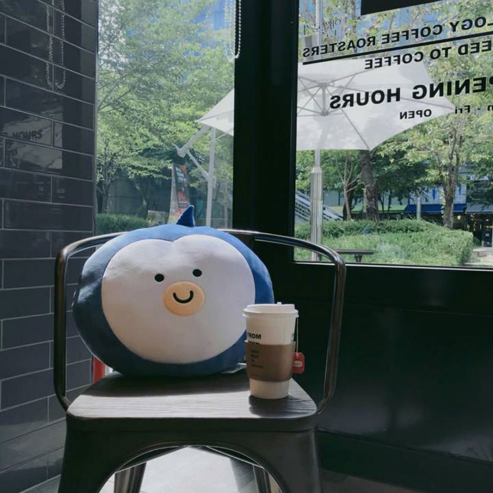 39368691_305573096886496_3021368699413069824_n