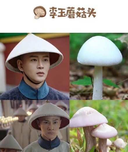 c0b9b2c8ly1fvhjyfl416j20ff0iddi4