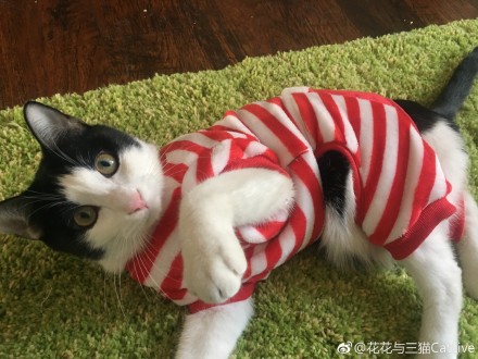 006L71xEgy1fn99u2bh4uj33402c07wi