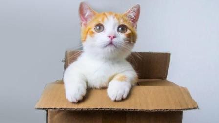 054101015B2CC2EEADC95BAA8E609215