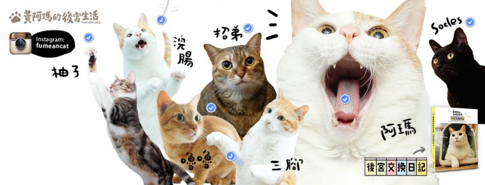 13411651_1337540722941940_5024271593014704653_o