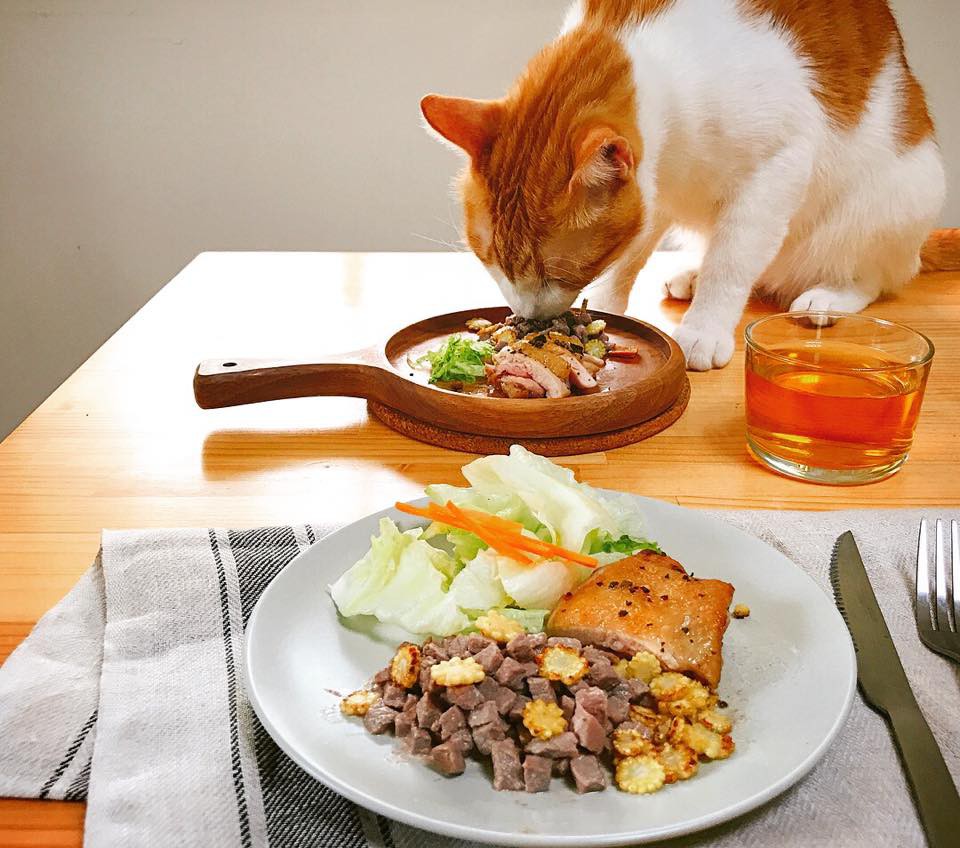 21761974_1447683908643106_4667855821005616974_n