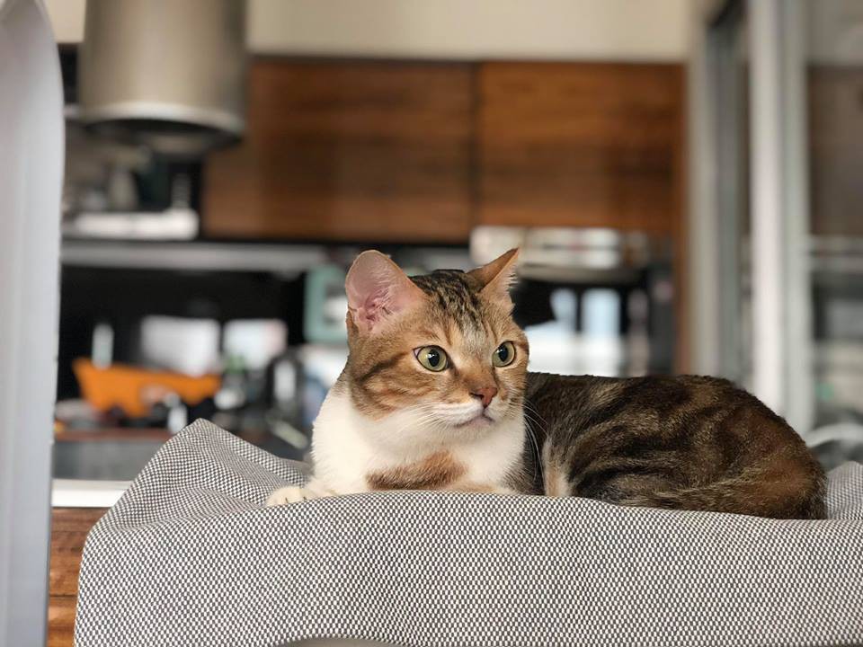 42800801_2218594881756143_4550980254881021952_n