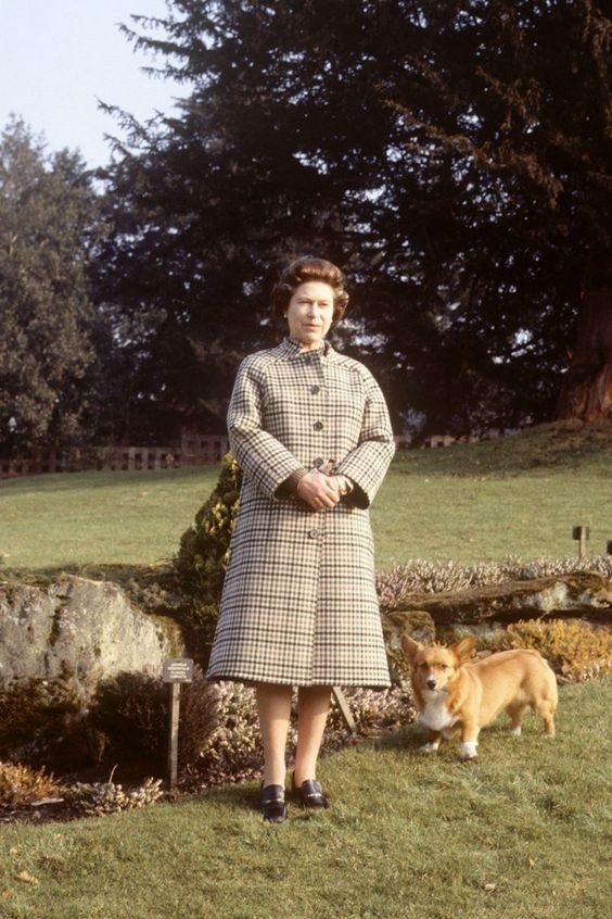 9b8059d299eef60593602bfadc632dda