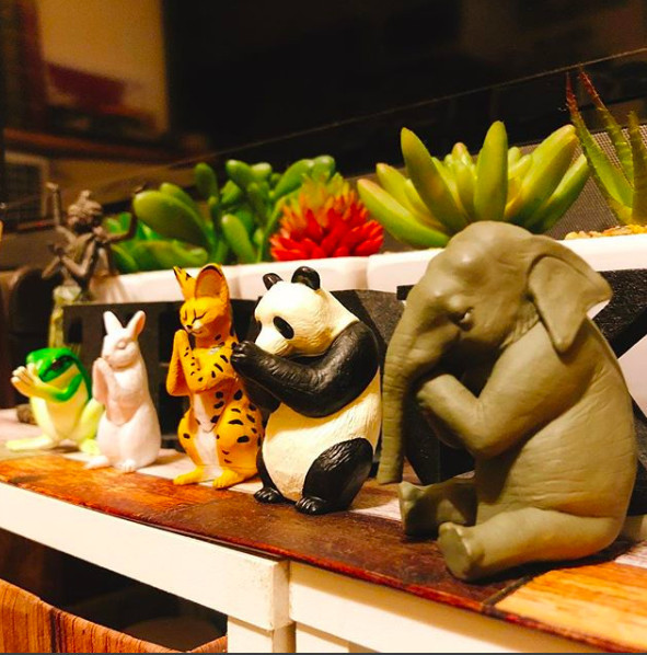 螢幕快照2018-11-07 上午11.50.57