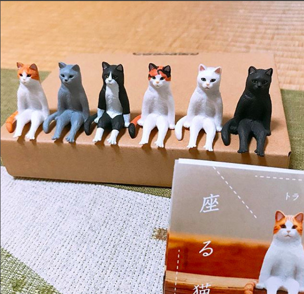 螢幕快照2018-11-07 下午12.00.28