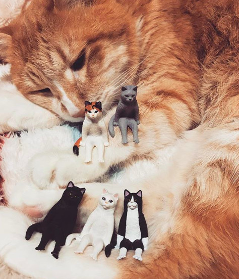 螢幕快照2018-11-07 下午12.03.48