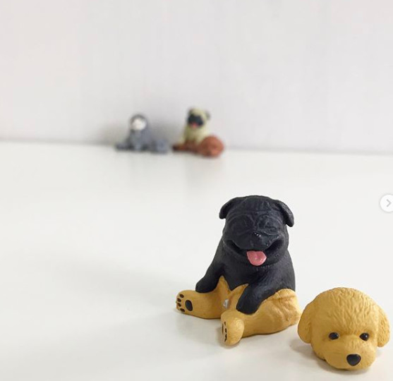 螢幕快照2018-11-07 下午12.15.11