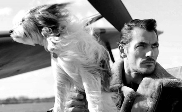 螢幕快照 2018-11-15 下午6.18.09