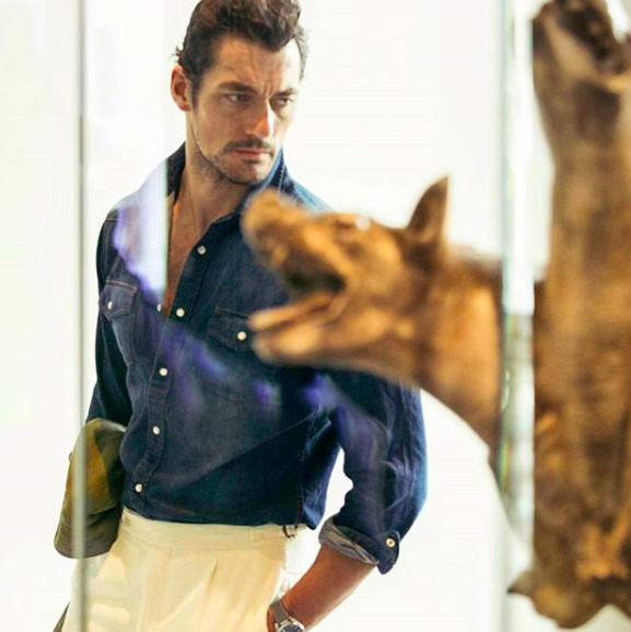 螢幕快照 2018-11-15 下午6.18.45