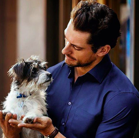 螢幕快照 2018-11-15 下午6.18.59