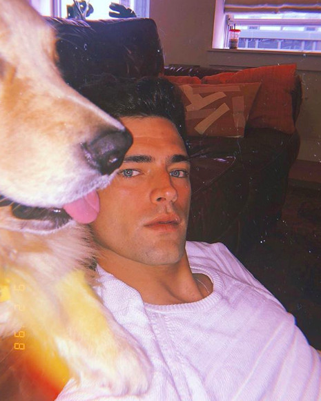 螢幕快照 2018-11-15 下午6.19.18