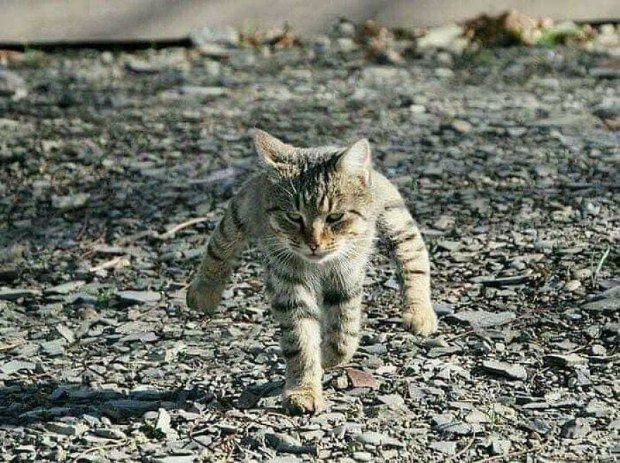 3115e091511464357b1cf03c9c3e3d7f