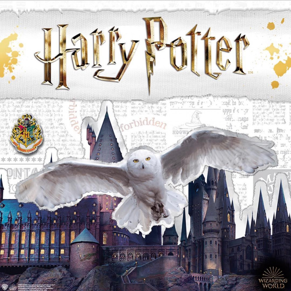 44358840_301027767170369_639738228393101023_n