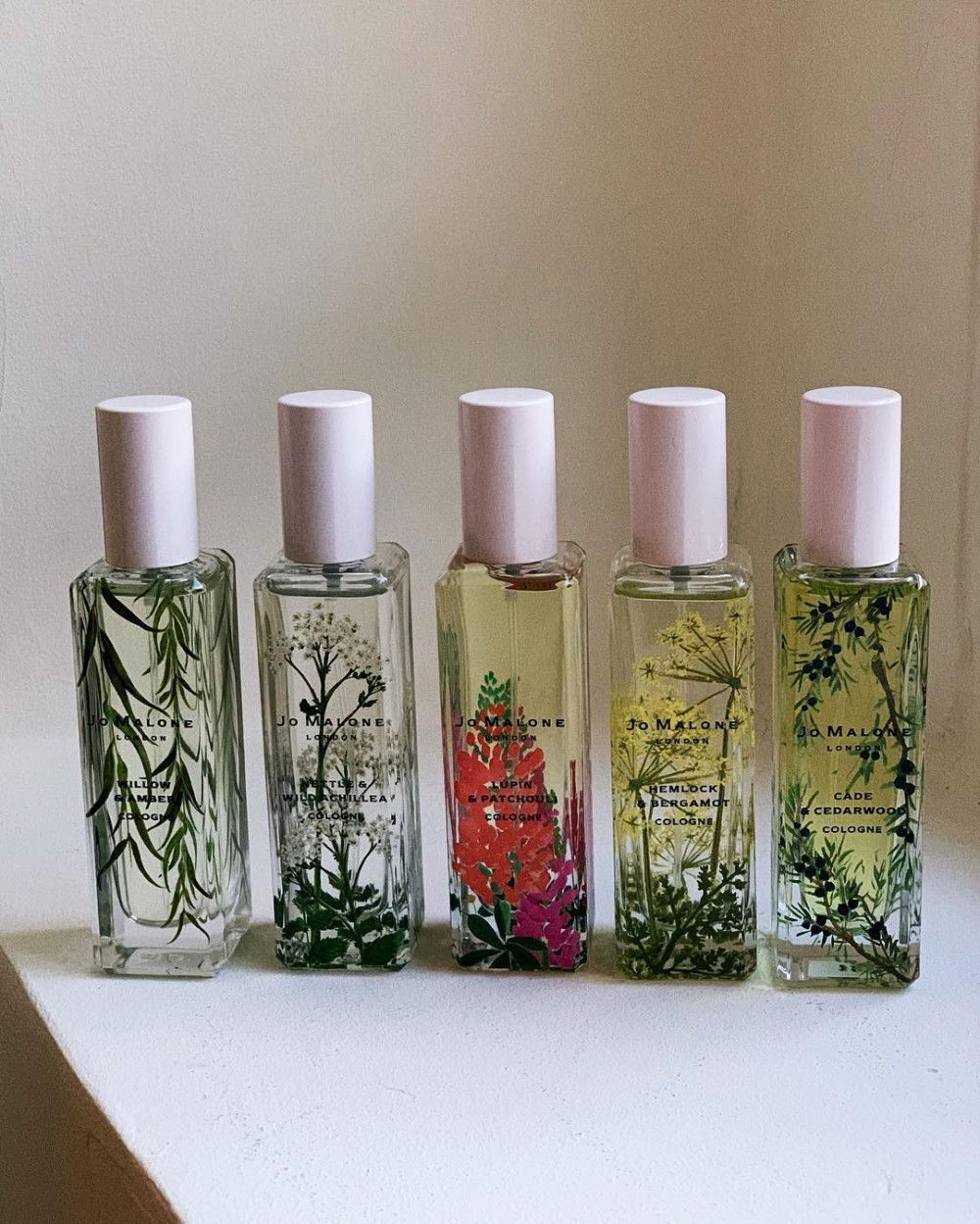 44409687_2189958234550734_6830836396453482830_n