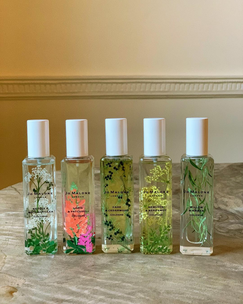 44419986_484299962061838_4171033587951021690_n