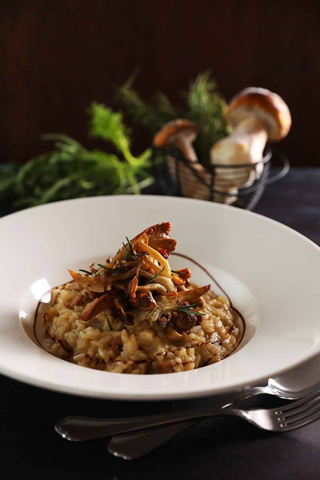 44556248_2141568579414762_8833748263212417024_n