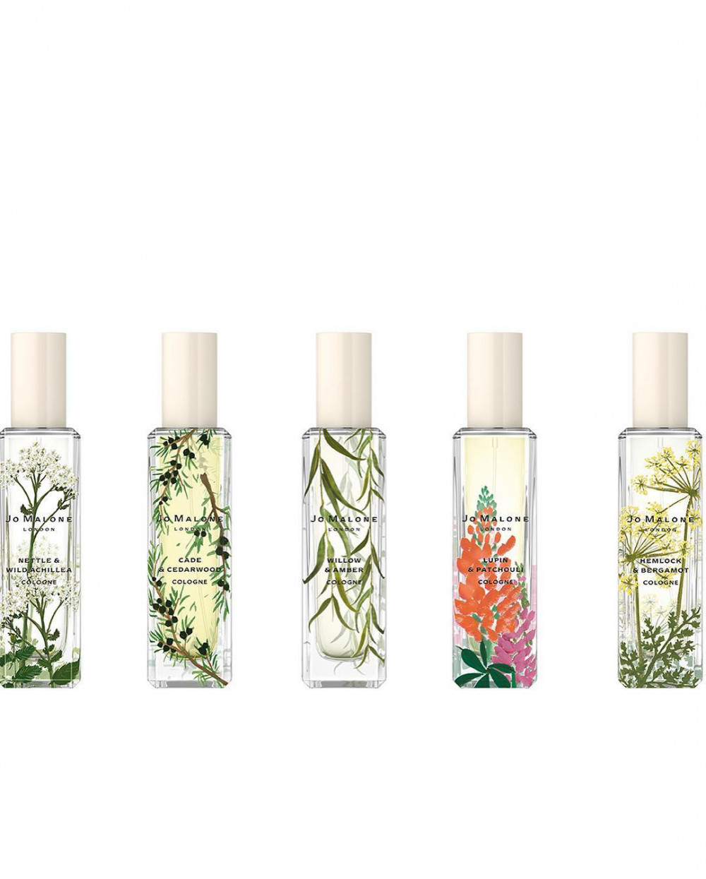 44693746_303578656969306_7668107859137574459_n