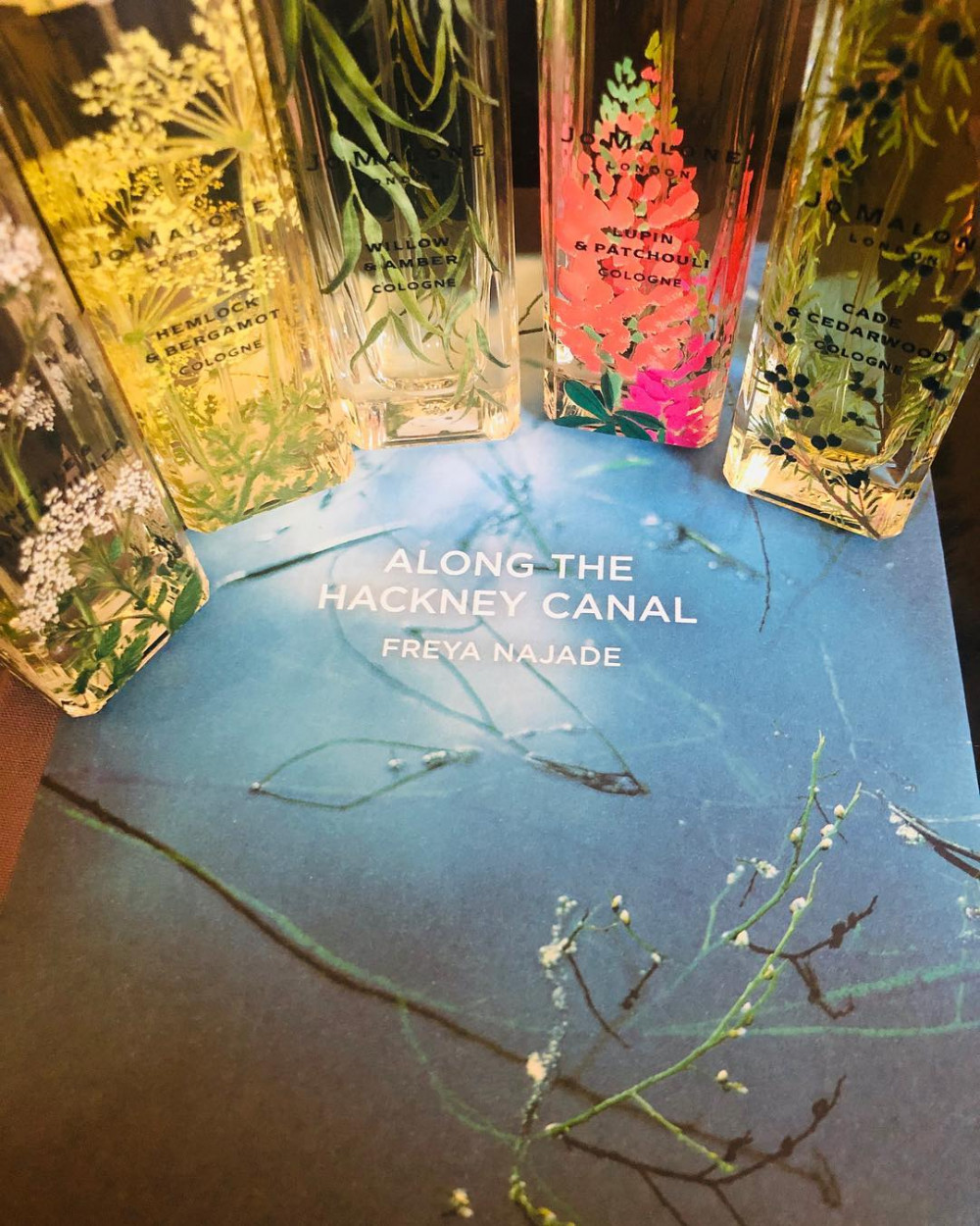 45476688_374440736629362_232349780594777994_n