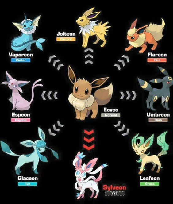 4aa533798d3bbe9c52a437ae723f7ad1