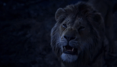 7e50c43dly1fxhsmlbd00g20b106cb2a