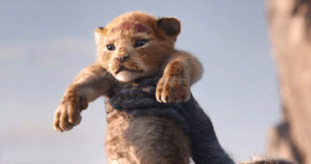 88ce0bcbly1fxhn16kkc0j215o0lzad4