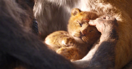 88ce0bcbly1fxhn16m1lmj215o0lzgqh