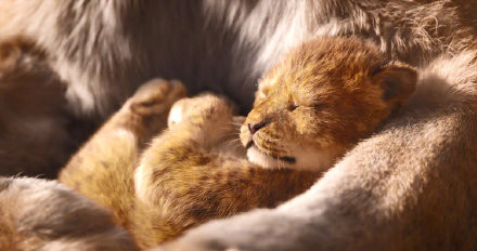 88ce0bcbly1fxhn16n74gj215o0lzq8r