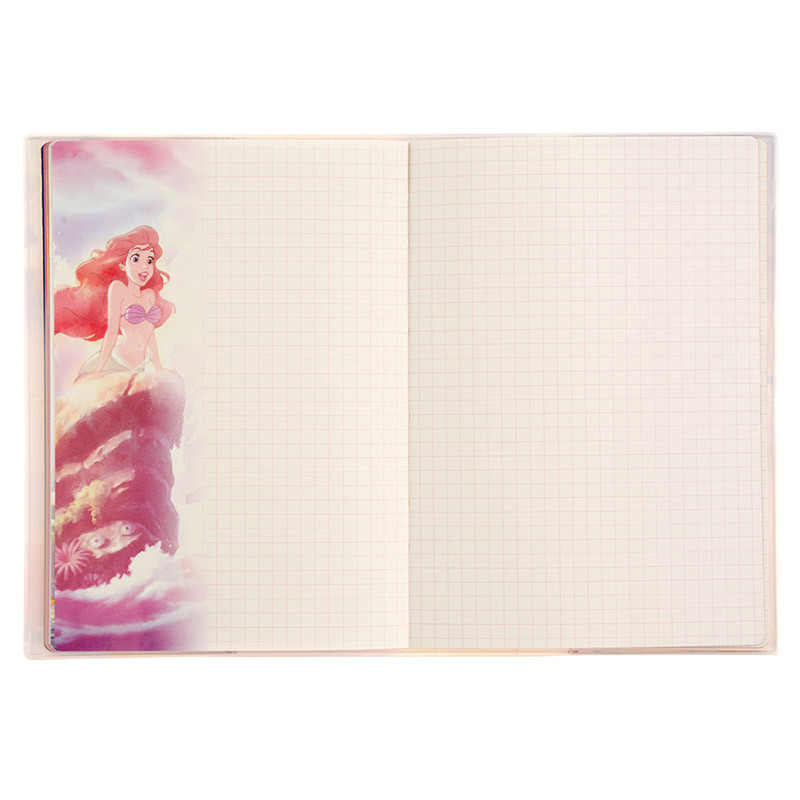 Q418CO_B6_PRINCES_GRD_6