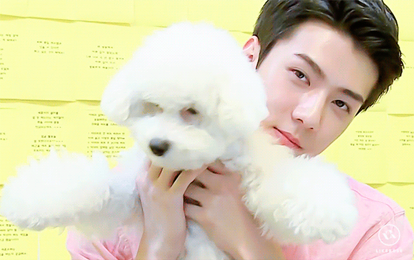 W020170103567433405326