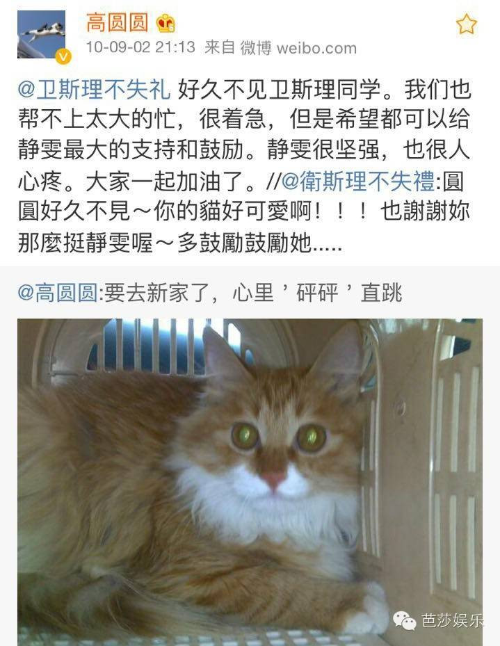 auto1446017848982392783