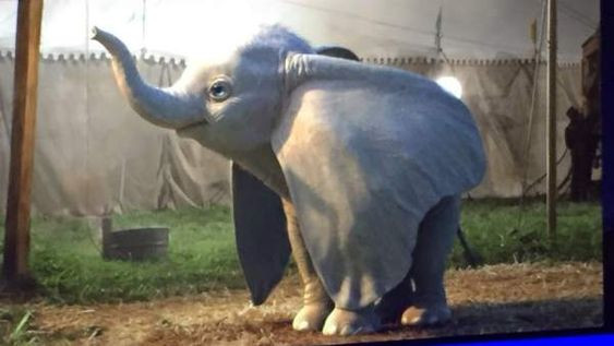 bca8e0e71d26748c415daa1b18a0f70c