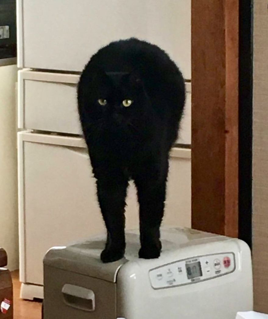 d397eb4f851f686ab2ab71a16ad16b36