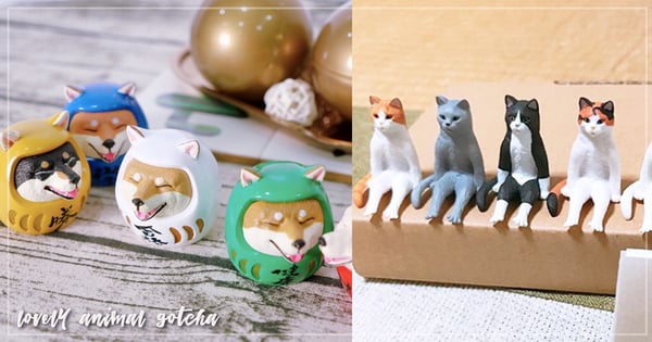 柴犬達摩好萌！盤點5款超可愛的「療癒系」動物扭蛋，這放在辦公室桌上心情絕對立馬變好啊♡