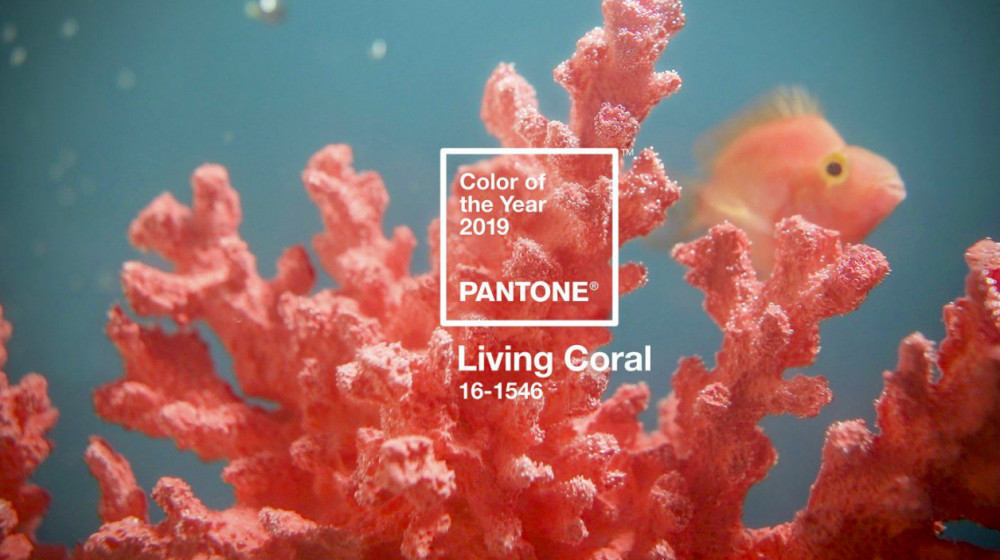 螢幕快照 2018-12-09 下午6.38.53