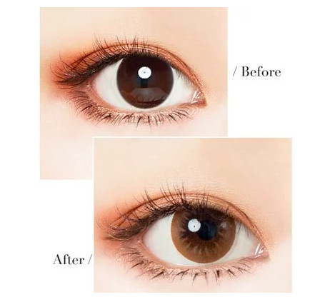 螢幕快照2018-12-18 下午5.49.46