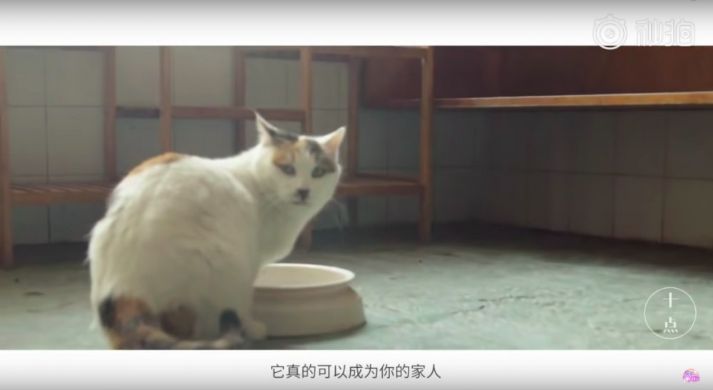 螢幕快照 2018-12-20 下午12.10.11