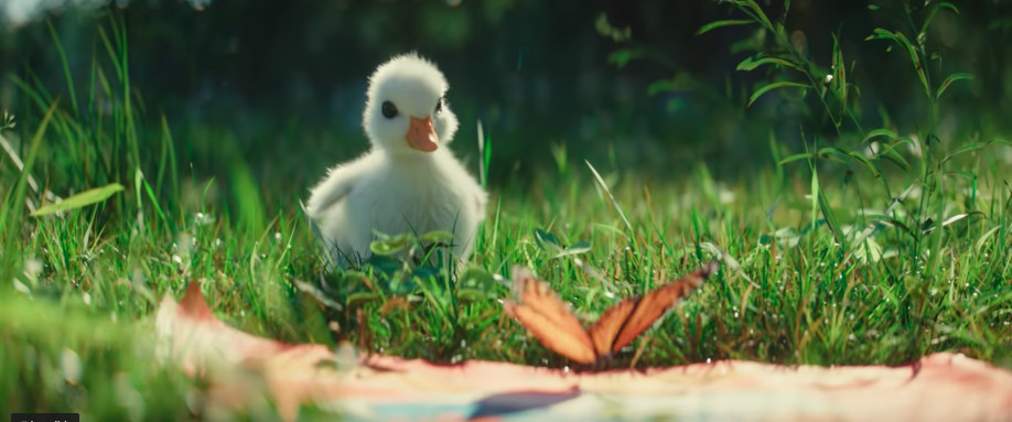 螢幕快照 2018-12-30 下午2.53.59